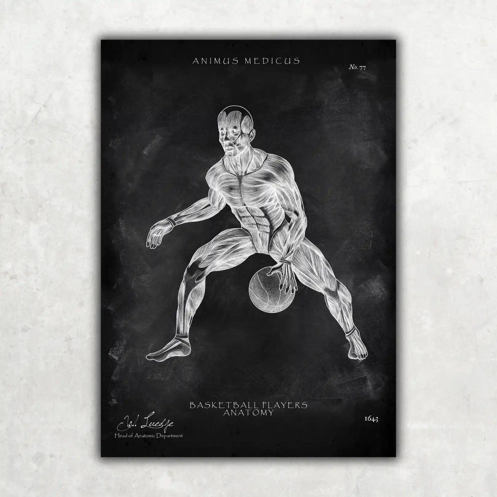 Basketball Anatomie Poster - Chalkboard - Animus Medicus GmbH