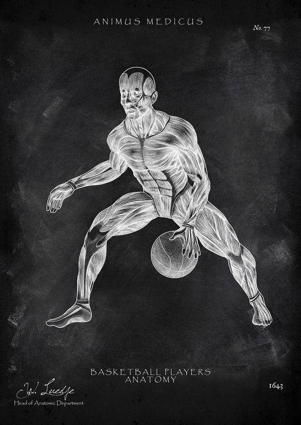 Basketball Anatomie Poster - Chalkboard