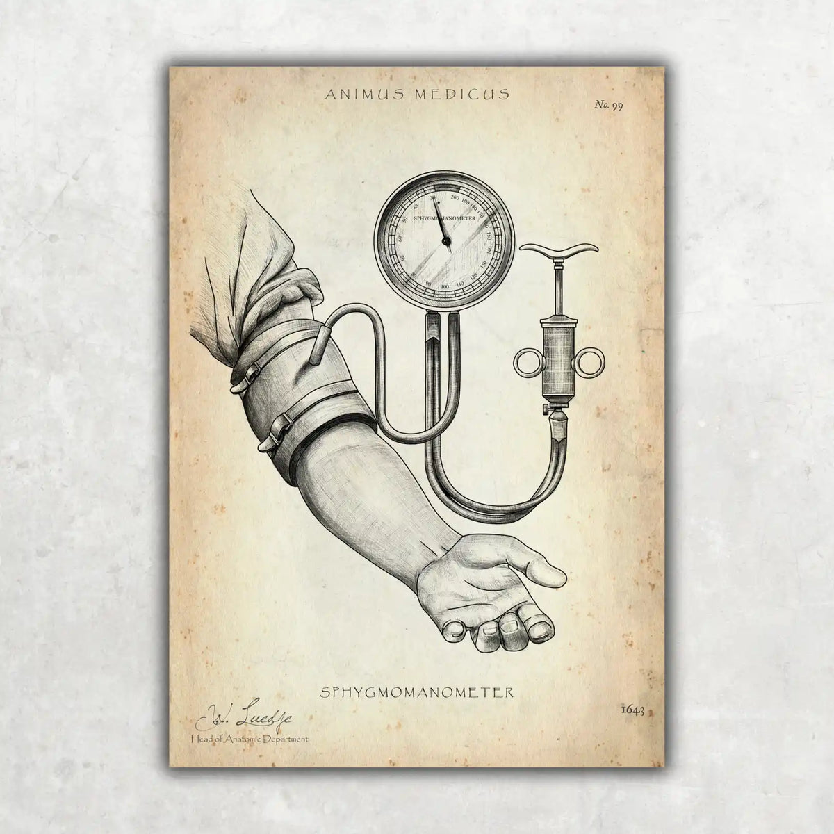Blutdruck Poster - Animus Medicus GmbH