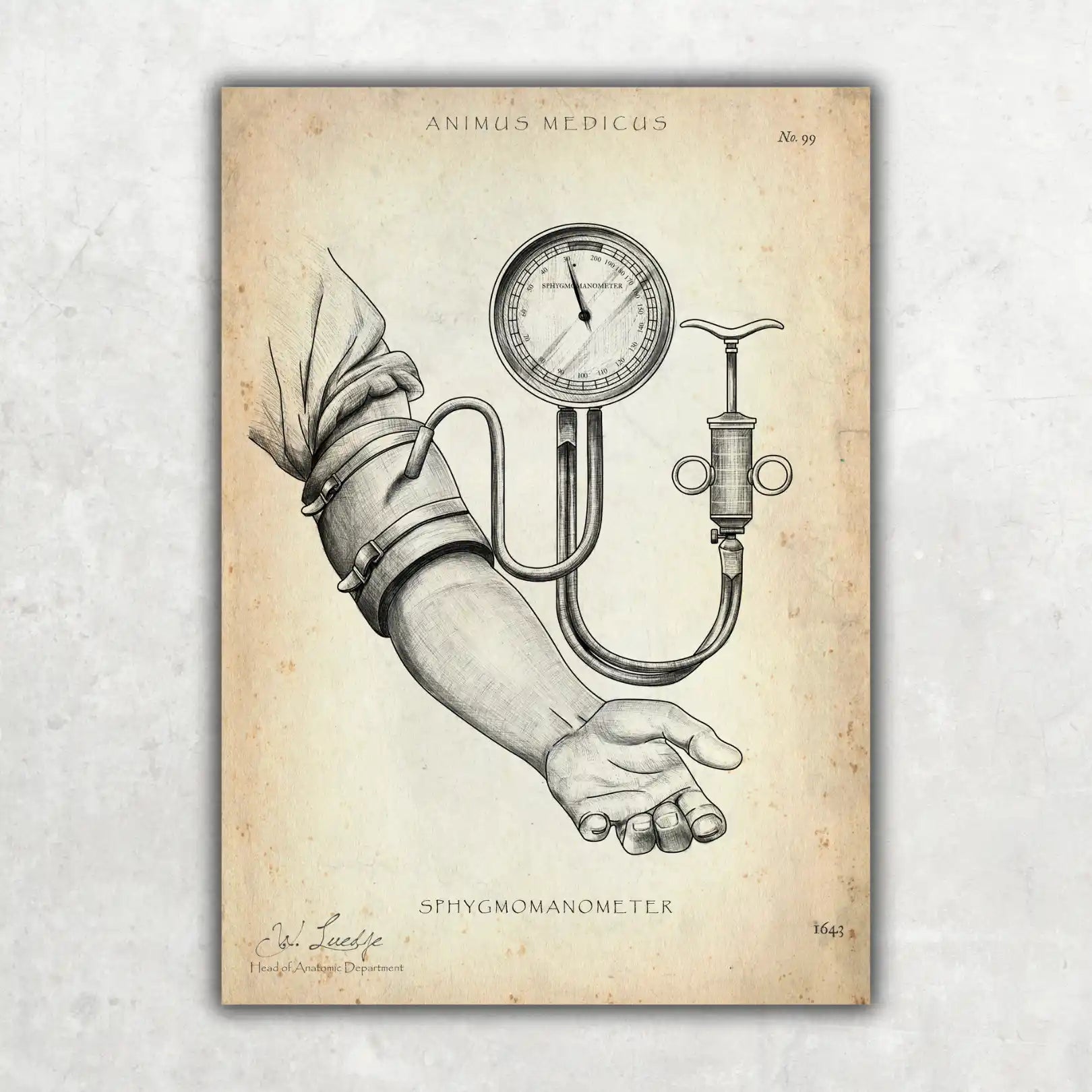 Blutdruck Poster - Animus Medicus GmbH