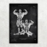 Bodybuilder Anatomie Poster - Chalkboard - Animus Medicus GmbH