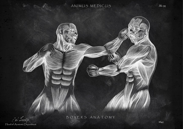 Boxer Anatomie Poster - Chalkboard