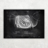 Brust Anatomie Poster - Chalkboard - Animus Medicus GmbH