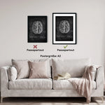 Das menschliche Gehirn - Chalkboard - Animus Medicus GmbH