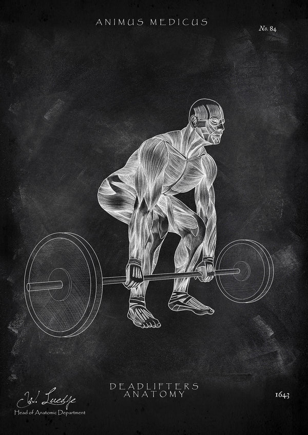 Kreuzheben Anatomie Poster - Chalkboard