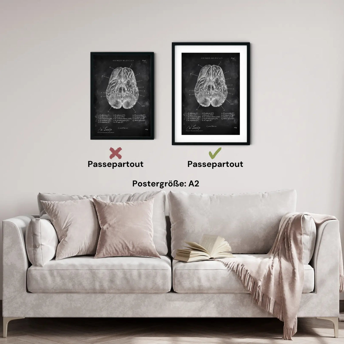 Die 12 Hirnnerven - Chalkboard - Animus Medicus GmbH