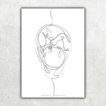 Fetus Anatomie Minimalist - Animus Medicus GmbH