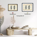 Fuß Anatomie | Knochen und Muskeln - Animus Medicus GmbH