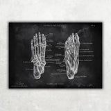 Fuß Anatomie | Knochen und Muskeln - Chalkboard - Animus Medicus GmbH