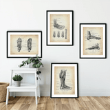 Fuß Anatomie Sammlung - Animus Medicus GmbH