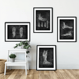 Fuß Anatomie Sammlung - Chalkboard - Animus Medicus GmbH