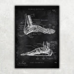 Fuß Anatomie Poster in Chalk - Animus Medicus – Animus Medicus GmbH