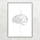 Gehirn Anatomie Minimalist - Animus Medicus GmbH
