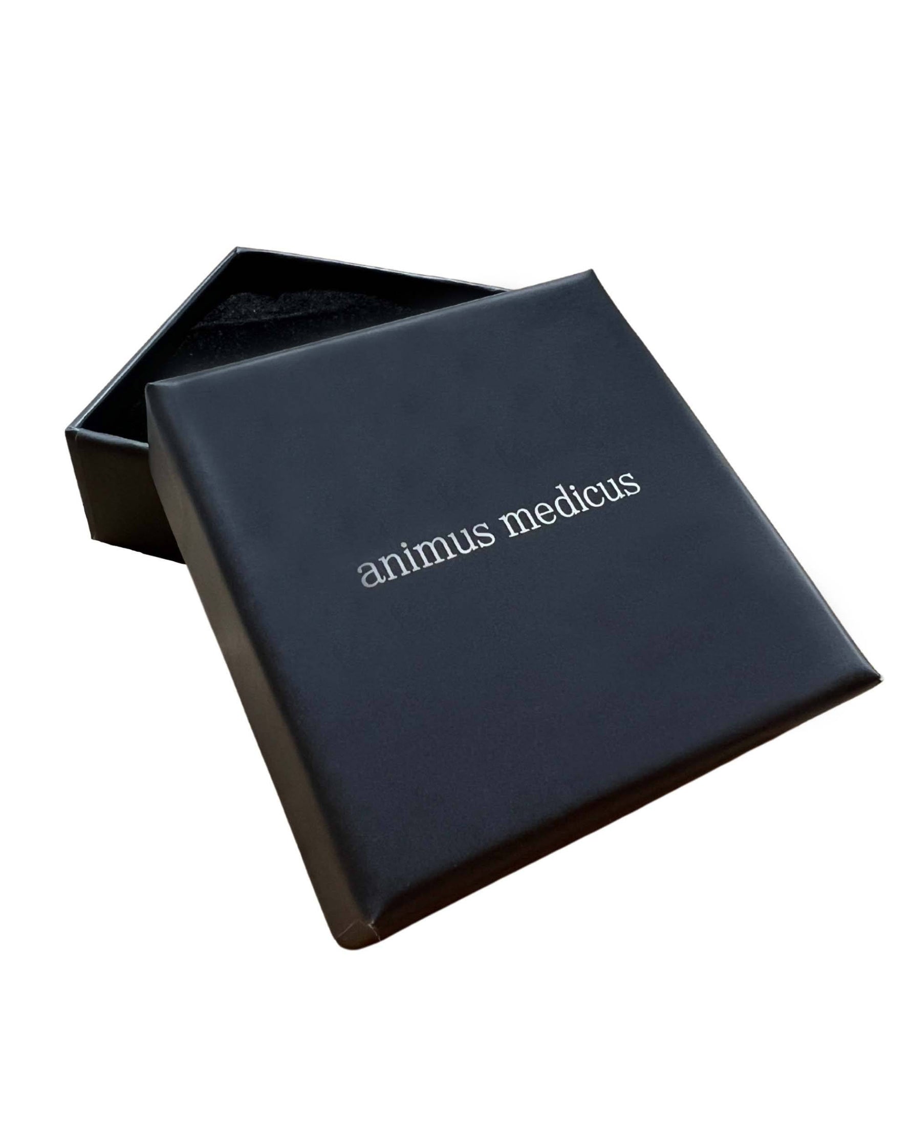 Gehirn Anatomie Ohrringe - Animus Medicus GmbH