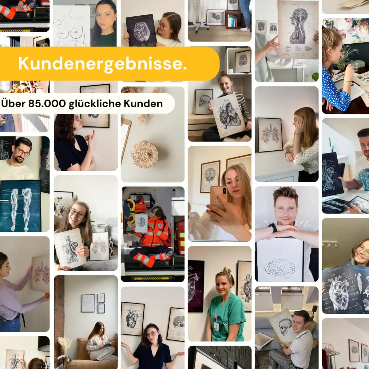 Gehirn Aufbau im Schnitt - Chalkboard - Animus Medicus GmbH