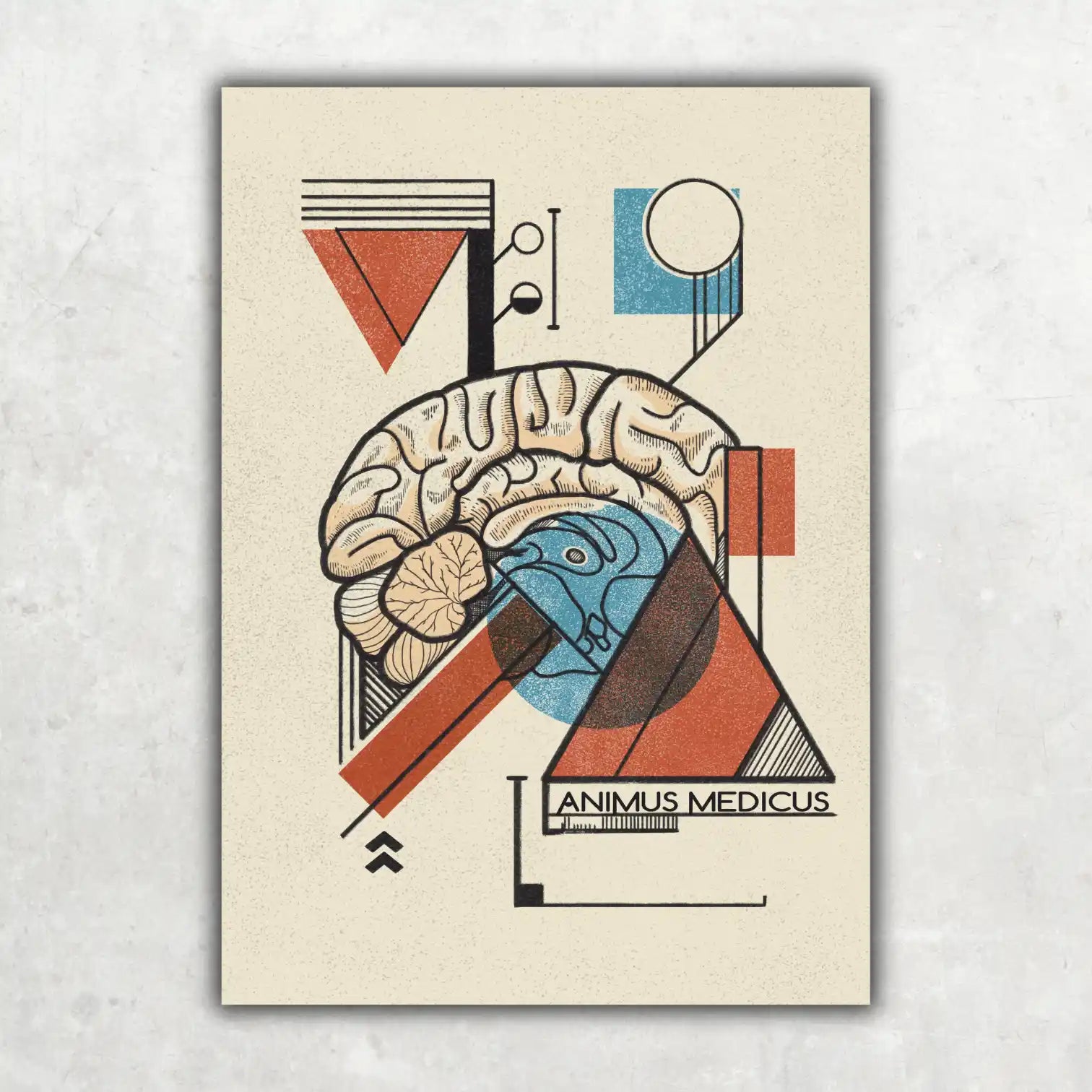 Gehirn - Bauhaus Edition - Animus Medicus GmbH