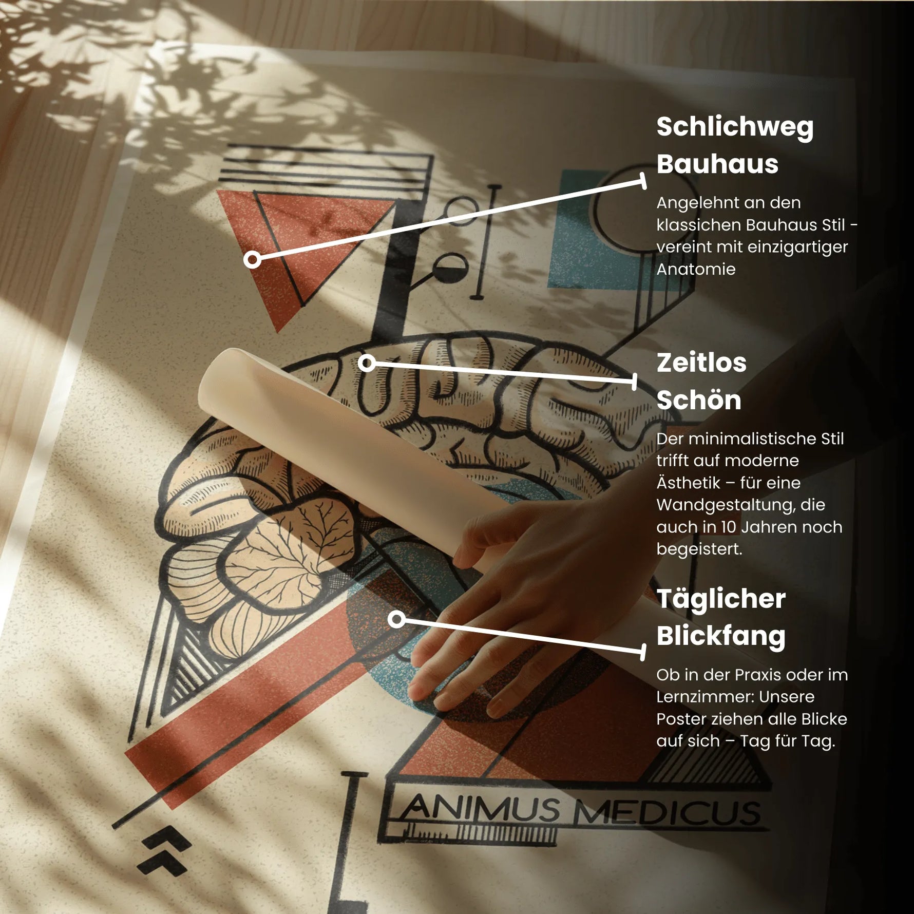 Gehirn - Bauhaus Edition - Animus Medicus GmbH