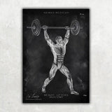 Gewichtheben Anatomie Poster - Chalkboard - Animus Medicus GmbH