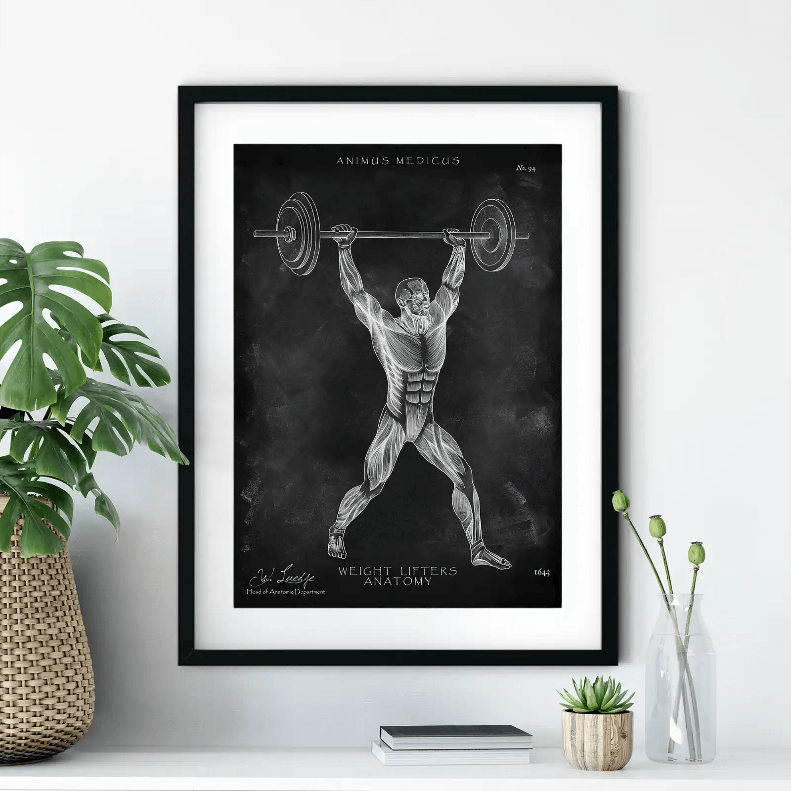 Gewichtheben Anatomie Poster - Chalkboard - Animus Medicus GmbH