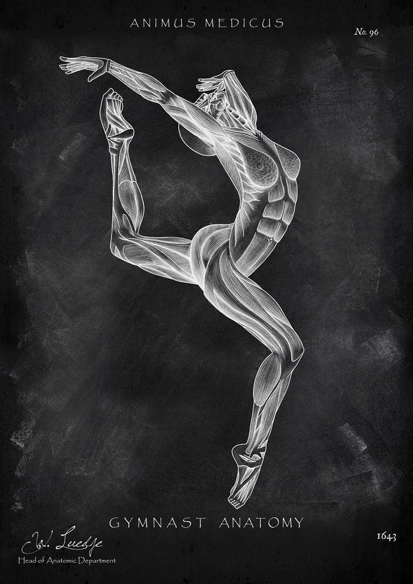 Turnen Anatomie Poster II - Chalkboard