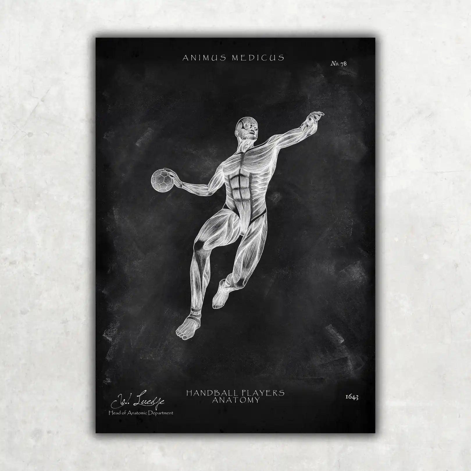 Handball Anatomie Poster - Chalkboard - Animus Medicus GmbH