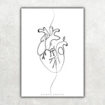 Herz Anatomie Minimalist - Animus Medicus GmbH