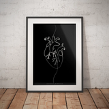Herz Anatomie Minimalist Dark - Animus Medicus GmbH