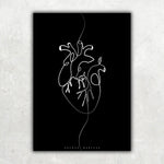 Herz Anatomie Minimalist Dark - Animus Medicus GmbH