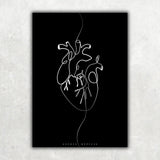 Herz Anatomie Minimalist Dark - Animus Medicus GmbH