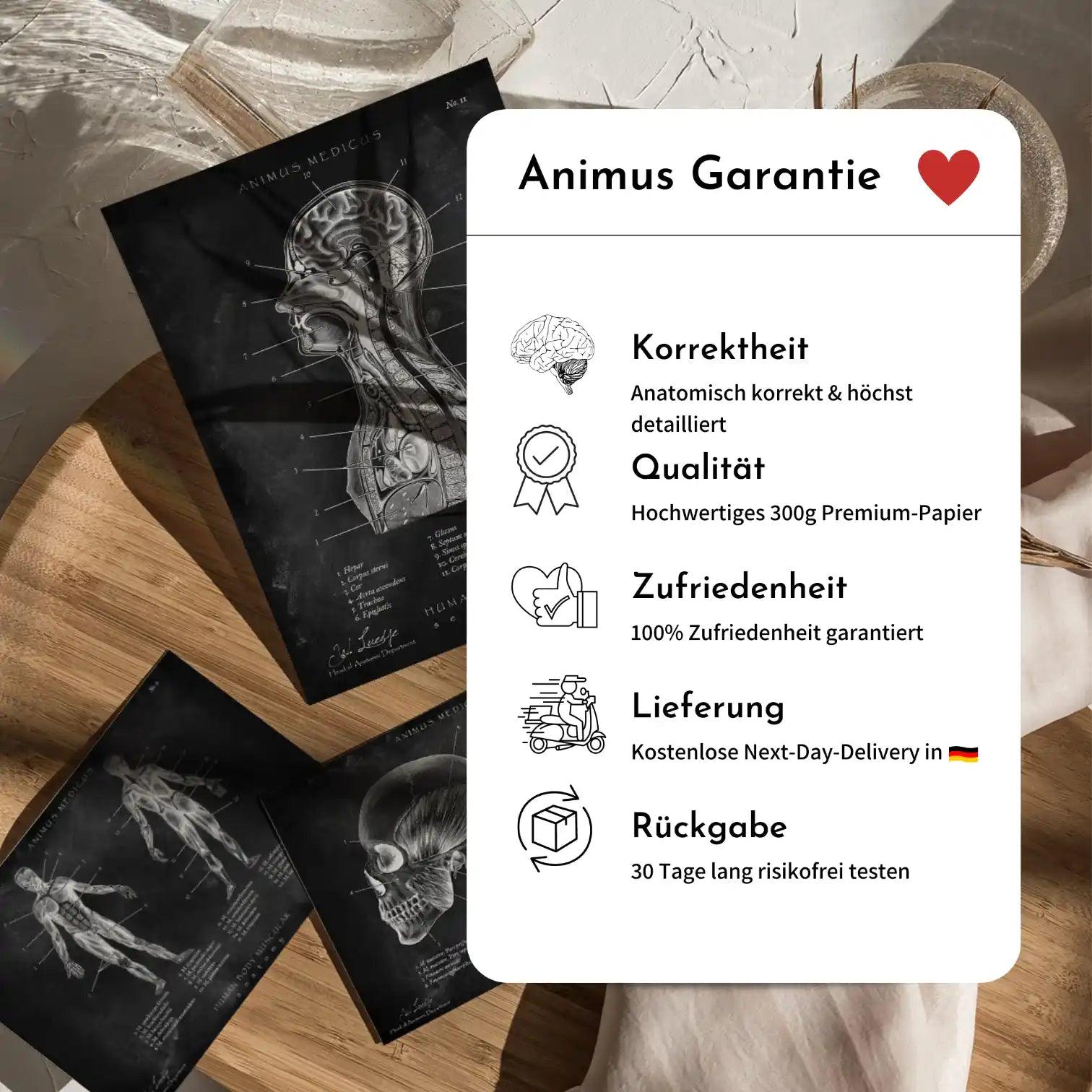 Herz Anatomie Minimalist Dark - Animus Medicus GmbH