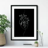 Herz Anatomie Minimalist Dark - Animus Medicus GmbH