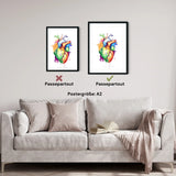 Herz Anatomie - Rainbow - Animus Medicus GmbH