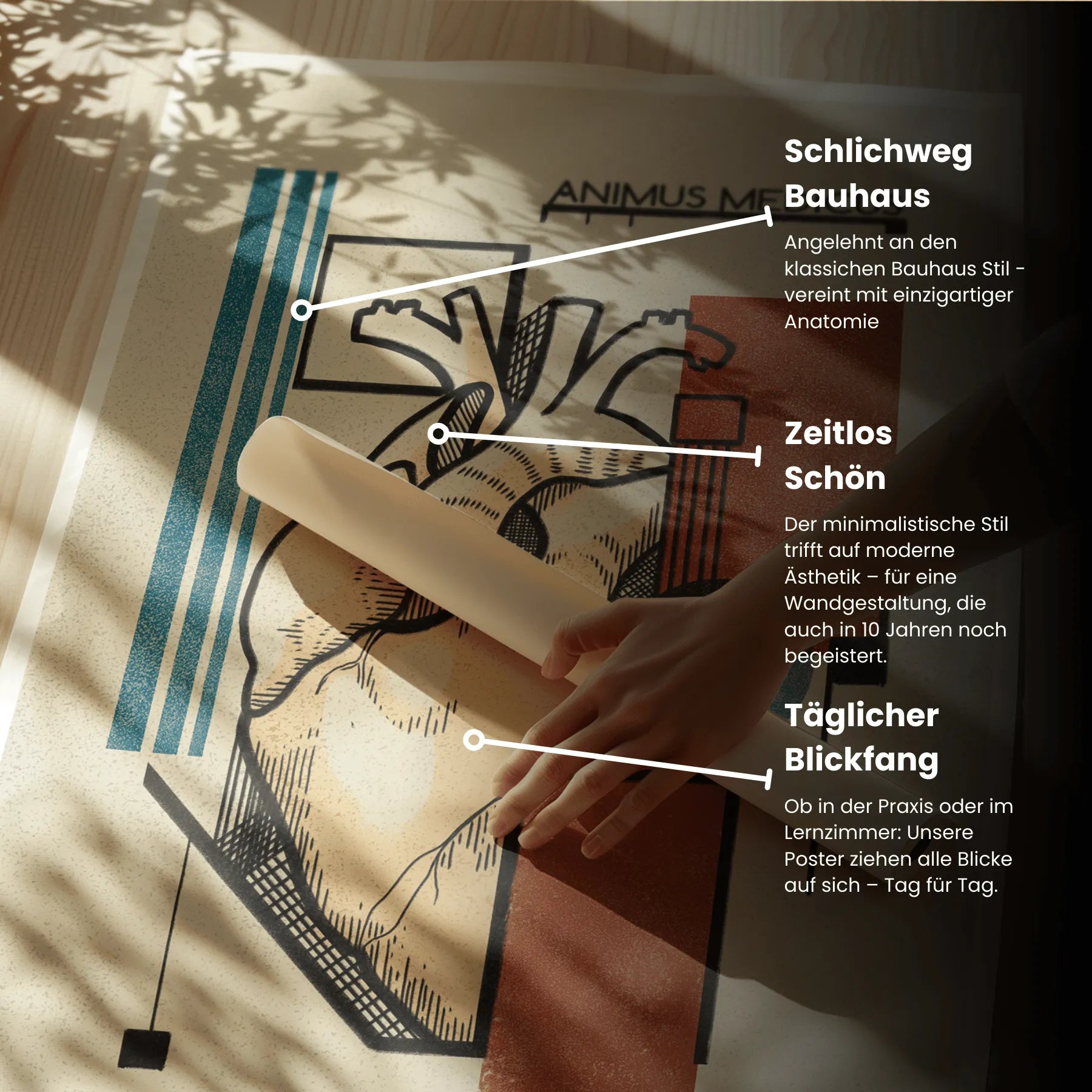 Herz - Bauhaus Edition - Animus Medicus GmbH