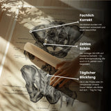 Hüftgelenk Anatomie - Animus Medicus GmbH