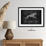 Hunde Muskulatur - Chalkboard - Animus Medicus GmbH