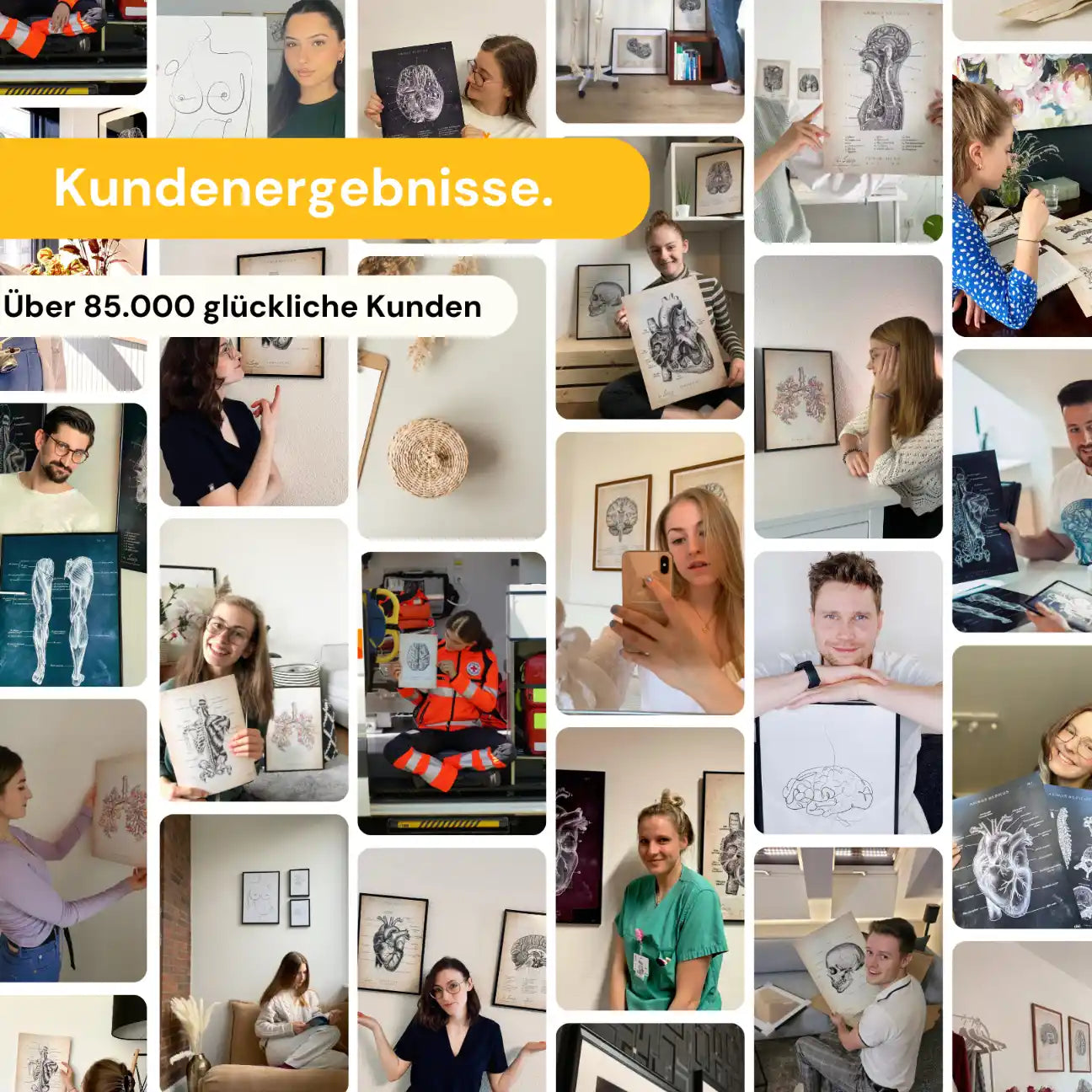 Hunde Muskulatur - Chalkboard - Animus Medicus GmbH