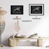Hunde Muskulatur - Chalkboard - Animus Medicus GmbH