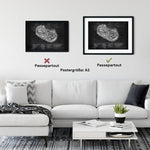 Innenohr Anatomie - Chalkboard - Animus Medicus GmbH