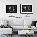 Kiefergelenk Anatomie - Chalkboard - Animus Medicus GmbH