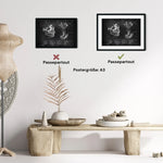 Kiefergelenk Anatomie - Chalkboard - Animus Medicus GmbH