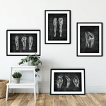 Knie Anatomie Sammlung - Chalkboard - Animus Medicus GmbH