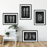 Knie Anatomie Sammlung - Chalkboard - Animus Medicus GmbH