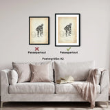 Kreuzheben Anatomie Poster - Animus Medicus GmbH