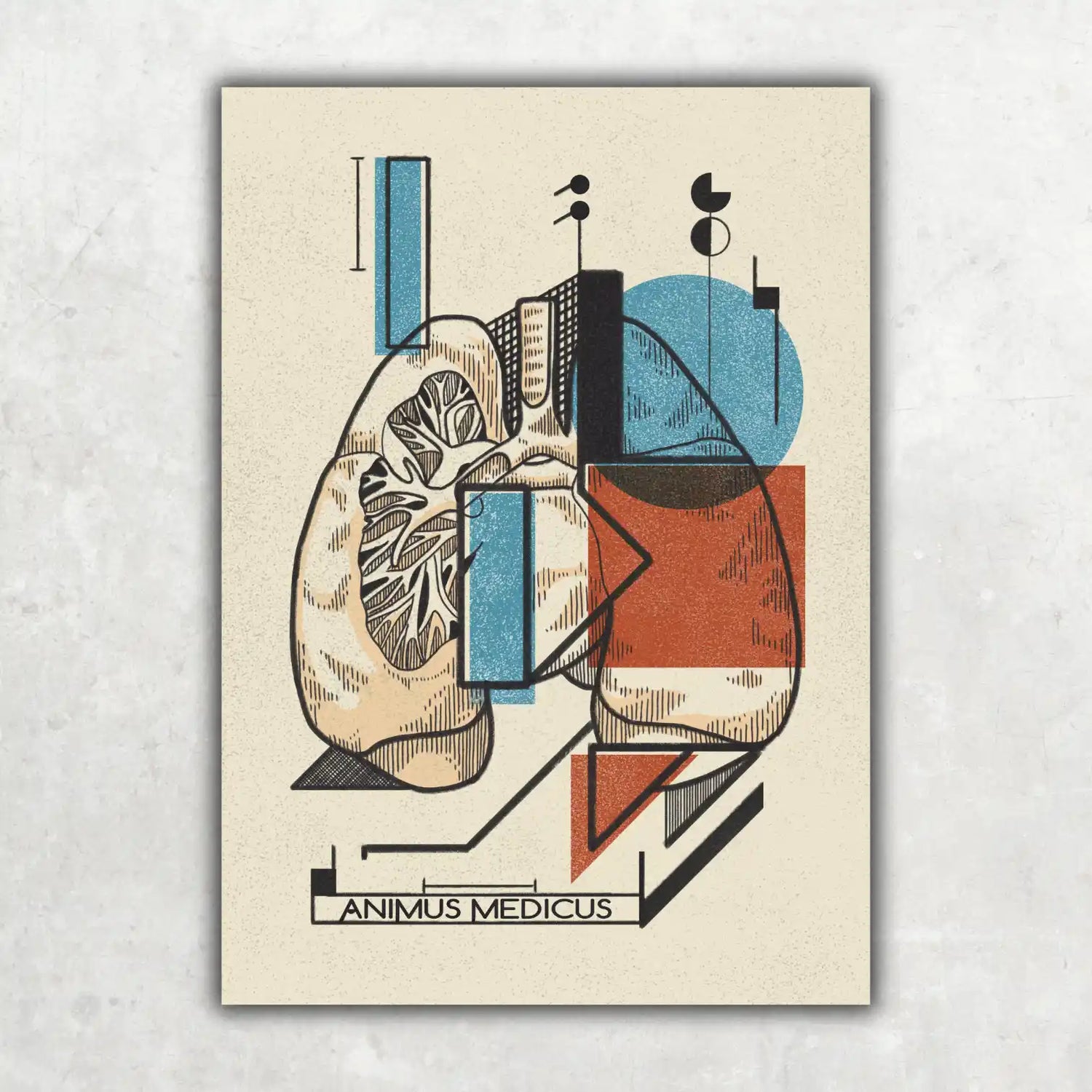 Lunge - Bauhaus Edition - Animus Medicus GmbH