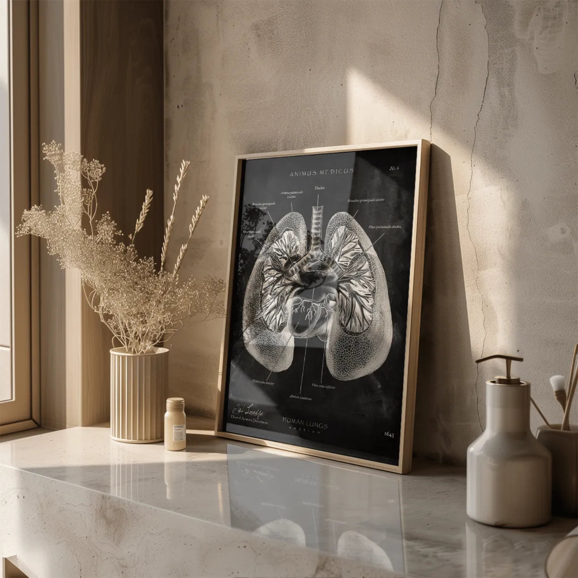 Lungen Anatomie - Chalkboard - Animus Medicus GmbH