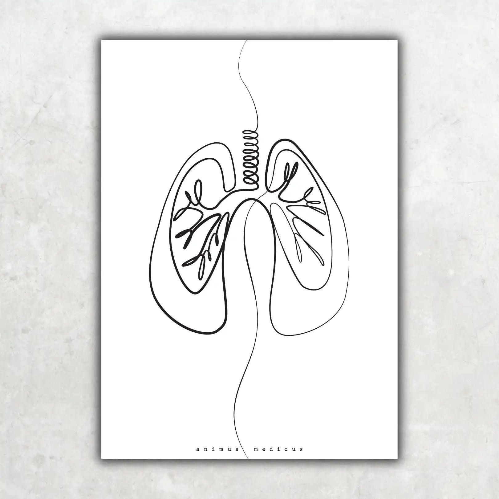 Lungen Anatomie Minimalist - Animus Medicus GmbH