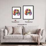 Lungen Anatomie - Rainbow - Animus Medicus GmbH