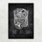 MediCare Bundle Chalkboard - Animus Medicus GmbH