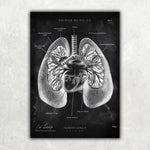 MediCare Bundle Chalkboard - Animus Medicus GmbH