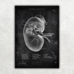 MediCare Bundle Chalkboard - Animus Medicus GmbH